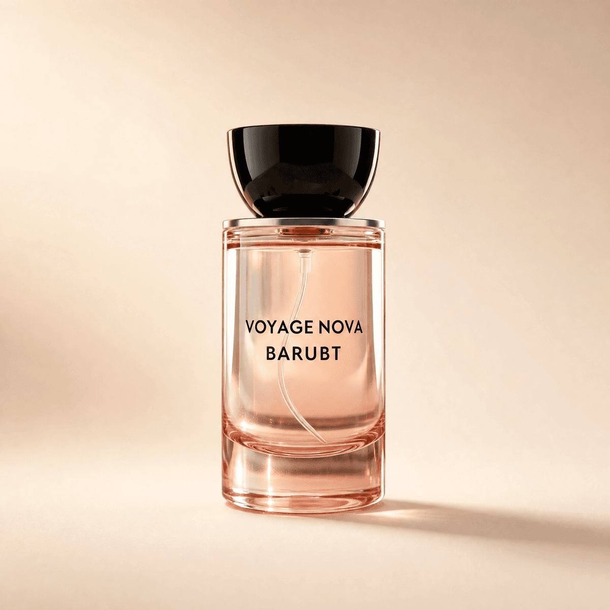 Voyage Nova, photo 1 of 6