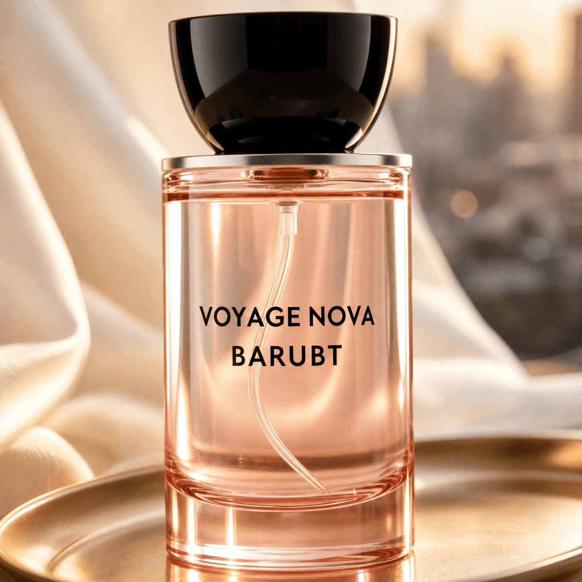 Voyage Nova, photo 3 of 6