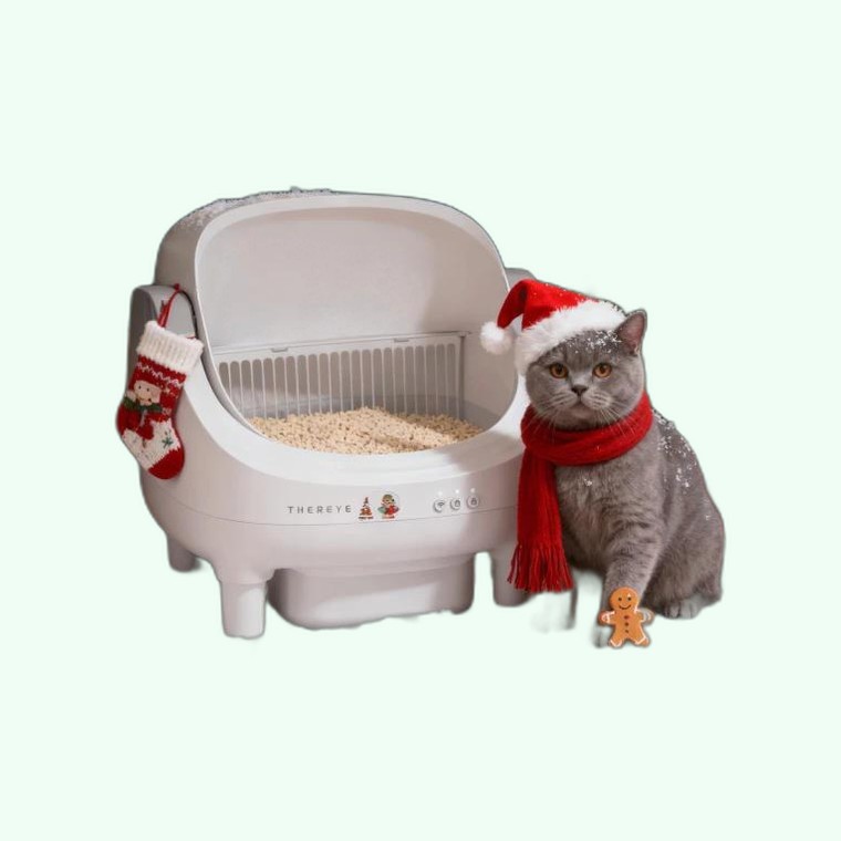Thereye Open-Top Cat